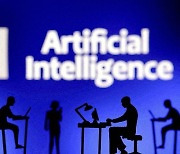 "AI법 없어 데이터 활용 포기"…속타는 기업, 최대의 적은 국회 [표류하는 AI 헌법]