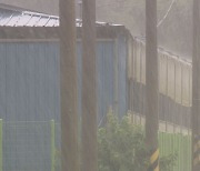 보성 267mm 폭우..광양·진도, 전남 5월 일 최고 강수량