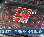 ‘과일값 안정화’ 대형마트 체리·수박 할인 행사