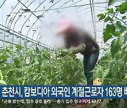 춘천시, 캄보디아 외국인 계절근로자 163명 배치