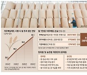 초과 생산된 쌀도 정부가 사줄판 … 과잉생산 부추기고 혈세 낭비