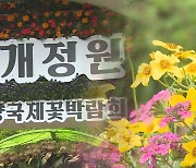 1억 송이 봄꽃 향연…제16회 '고양국제꽃박람회'