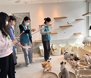 한국마사회, 동물복지 실천 위한 유기묘 돌봄 봉사활동 실시