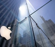 "애플, 데이터센터용 자체 반도체 개발 중" WSJ 보도