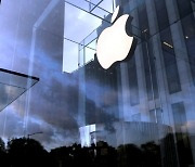 애플 부진에 동반 하락했던 관련주…AI 아이폰 기대감에 반등