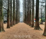 랭키파이가 소개합니다!···5월 1주차 '강원 선호 여행지' 트렌드지수 순위