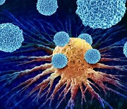 암세포 '특이 단백질' 항원, 인류 암 정복의 문 열까?  [이환석의 알쓸유이]