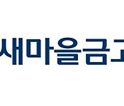 "새마을금고 임원도 가담했다"...경찰, 700억대 불법 대출 사기단 검거
