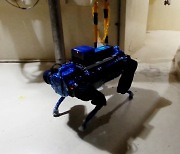 고리 1호기 해체 작업에 투입된 로봇 개[포토뉴스]