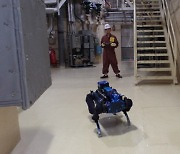 [포토] 고리1호기 해체 작업 ‘4족 보행 로봇’ 투입