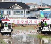 [포토] 벼 드문모심기 시연