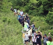 인제 '대암산 용늪' 생태탐방 16일 재개… 국내 유일 고층 습원