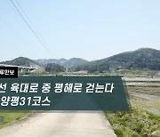 [하루만보]조선 육대로 중 평해로 걷는다…양평31코스