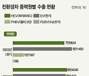 전기차 수요 둔화에 ‘친환경차 수출’ 경고등 [데이터로 보는 세상]