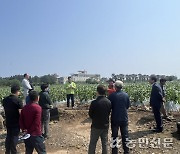 애월농협, 초당옥수수 재배기술 교육