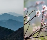 [이 계절 이 여행] 삶을 걷다, 운탄고도 영월 구간