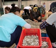 어촌 인력난 해소…태안군 올해 외국인 계절근로자 160명 초청