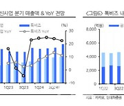 카카오, 1Q 실적 양호…中 알리·테무에도 굳건 -현대차