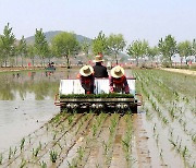 농기계를 활용해 모내기 중인 북한 노동자들