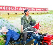 북한, 알곡 생산 목표 달성 위해 모내기 작업에 박차