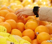 사과·오렌지 값 올라도 물가 누르는 정부…"주스 판매 중단해야 하나"