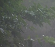 [날씨] 밤사이 영동 양간지풍, 주말 또 비바람...남해안·제주도 유의