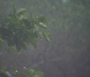 [날씨] 밤사이 영동 '양간지풍', 주말 비바람...제주도·남해안 또 호우
