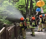 [서울] 서울소방본부 '부처님오신날' 사찰 화재예방 특별대책