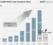 非중국 전기차 시장서 현대차 점유율 1.9%p ↓