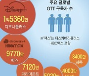 넷플릭스에 맞서… 이제는 뭉쳐야 사는 ‘번들 상품’ 시대