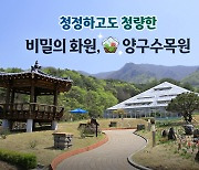 청정하고도 청량한 비밀의 화원, 양구수목원