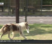 축산 1번지 ‘홍성군’, 반려동물 산업 메카로 변신!