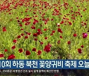 제10회 하동 북천 꽃양귀비 축제 오늘 개막