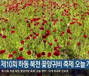 제10회 하동 북천 꽃양귀비 축제 오늘 개막