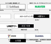 '라인'만 뺏기는게 아냐…페이, 포털, 쇼핑몰까지 날아간다