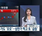 "실적 완전 럭키비키"…상한가 찍고 또 '급등' [백브리핑]