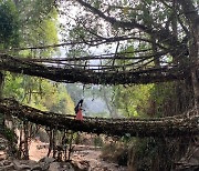 [Overseas Trip] 수 세기를 넘어 살아있는 뿌리 다리를 만나다