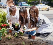 골목마다 담배꽁초 가득했는데…민원 많던 골목길, ‘꽃밭’으로 변신