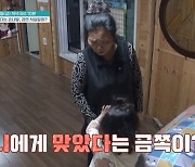 "할머니가 때렸다"는 5살 딸, 카메라 앞에선 '돌변'…무슨 일?