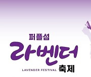신안 퍼플섬, 17일부터 라벤더꽃 축제 열려