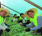 농협경제지주, 영농철 농촌일손돕기 나서