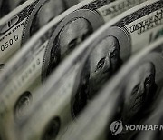 美 금리인하 지연에 4월 글로벌 ETF 자금 유입도 '반토막'