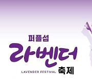 '2천만 송이 꽃의 향연'…신안 퍼플섬 라벤더 축제