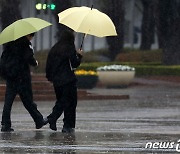 [오늘의 날씨] 부산·경남(11일, 토)…대체로 흐리고 저녁부터 비