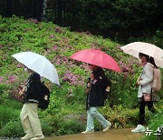 [오늘의 날씨] 광주·전남(11일, 토)…오후부터 최대 80㎜ 비