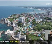 대관령·북부 해안 케이블카 잇단 추진…새로운 관광 자원될까?