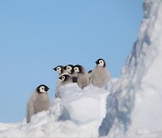 남극 추위도 이겨낸 작은 생명들…극지연구소 사진전 수상작 감동 물결