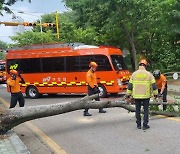 인천서 강풍에 가로수·그늘막 쓰러져…안전조치 18건