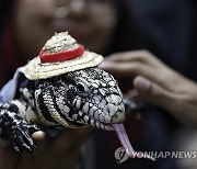 THAILAND ANIMALS