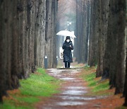 [오늘의 날씨] 대전·충남(12일, 일)…새벽까지 대부분 비